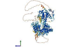 AlphaFold protein structure predicition of Human Recombinant GTF2IRD2B Protein, UniprotID Q6EKJ0 (GTF2IRD2B Protein (AA 1-949) (His tag))