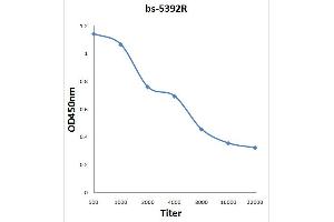 Antigen:   0. (HOMER3 antibody  (pThr36))