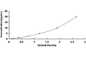 Typical standard curve (ube3a ELISA Kit)