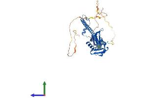 AlphaFold protein structure predicition of Human Recombinant NONO Protein, UniprotID Q15233 (NONO Protein (AA 1-471) (His tag))