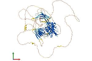 AlphaFold protein structure predicition of Mouse Recombinant Pacs2 Protein, UniprotID Q3V3Q7