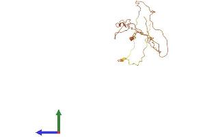 AlphaFold protein structure predicition of Human Recombinant CACTIN-AS1 Protein, UniprotID Q8N1I8 (CACTIN-AS1 Protein (AA 1-211) (His tag))