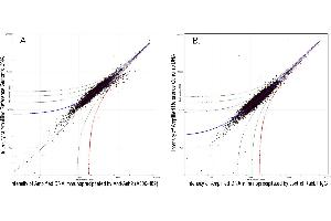 Image no. 2 for anti-Achaete-Scute Complex Homolog 2 (ASCL2) (C-Term) antibody (ABIN7449050) (ASCL2 antibody  (C-Term))