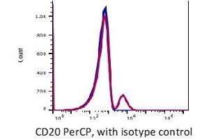 Image no. 2 for anti-Membrane-Spanning 4-Domains, Subfamily A, Member 1 (MS4A1) antibody (PerCP) (ABIN2704219) (CD20 antibody  (PerCP))