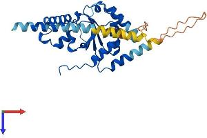 AlphaFold protein structure predicition of Human Recombinant NUS1 Protein, UniprotID Q96E22 (Nogo B Receptor Protein (NUS1) (AA 1-293) (His tag))