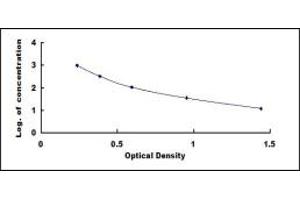 Typical standard curve (Adrenomedullin ELISA Kit)