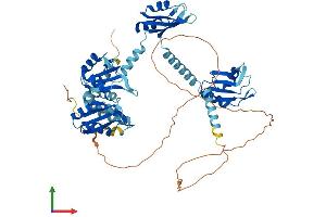 AlphaFold protein structure predicition of Human Recombinant PABPC1L Protein, UniprotID Q4VXU2 (PABPC1L Protein (AA 1-614) (His tag))