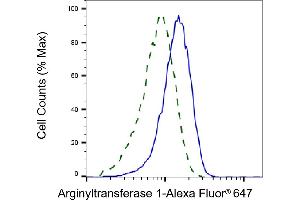 Validation of Arginyltransferase 1 knockdown using flow cytometry. (Recombinant ATE1 antibody)