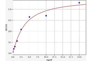 SMAD7 ELISA Kit