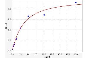 Typical standard curve (SMAD7 ELISA Kit)