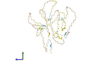 AlphaFold protein structure predicition of Human Recombinant BMP2KL Protein, UniprotID Q5H9B9 (BMP2KL Protein (AA 1-411) (His tag))