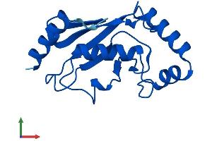 Protein Structure (PS) image for Ubiquitin-Conjugating Enzyme E2D 2 (UBE2D2) (AA 1-147) protein (His tag) (ABIN7544861)