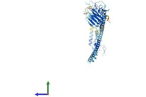 Protein Structure (PS) image for Tripartite Motif Containing 60 (TRIM60) (AA 1-471) protein (His tag) (ABIN7544681)