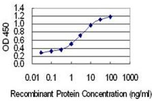 Detection limit for recombinant GST tagged CCDC28A is 0. (CCDC28A antibody  (AA 1-162))