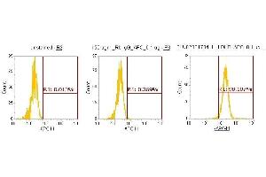 Flow Cytometry (FACS) image for anti-Lactate Dehydrogenase B (LDHB) (AA 1-334) antibody (APC) (ABIN5565783) (LDHB antibody  (AA 1-334) (APC))