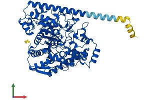 AlphaFold protein structure predicition of Mouse Recombinant Faah Protein, UniprotID O08914 (FAAH Protein (AA 1-579) (His tag))