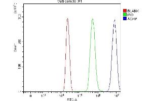 Flow Cytometry analysis of HL-60 cells using anti-PAP/ACP3 antibody (ABIN7600122).