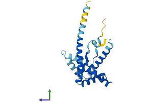 AlphaFold protein structure predicition of Mouse Recombinant Hmgb4 Protein, UniprotID Q6P8W9