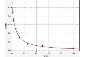 Serotonin ELISA Kit