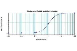 Image no. 1 for anti-Leptin (LEP) antibody (Biotin) (ABIN465756) (Leptin antibody  (Biotin))