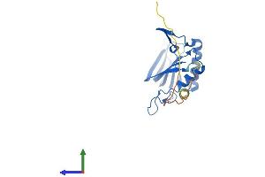 AlphaFold protein structure predicition of Human Recombinant DTD1 Protein, UniprotID Q8TEA8