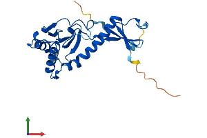 AlphaFold protein structure predicition of Human Recombinant MKRN2OS Protein, UniprotID H3BPM6 (MKRN2OS Protein (AA 1-223) (His tag))