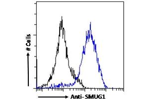 ABIN185204 Flow cytometric analysis of paraformaldehyde fixed MCF7 cells (blue line), permeabilized with 0. (SMUG1 antibody  (N-Term))