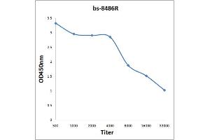 Antigen: 0. (FNDC5 antibody  (AA 81-143))