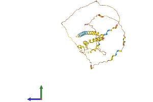 AlphaFold protein structure predicition of Human Recombinant PRRT1 Protein, UniprotID Q99946 (PRRT1 Protein (AA 1-306) (His tag))