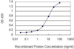 Detection limit for recombinant GST tagged KRT10 is 0. (Keratin 10 antibody  (AA 345-454))