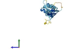 AlphaFold protein structure predicition of Mouse Recombinant Kctd11 Protein, UniprotID Q8K485 (KCTD11 Protein (AA 1-232) (His tag))