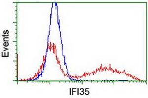 HEK293T cells transfected with either RC200929 overexpress plasmid (Red) or empty vector control plasmid (Blue) were immunostained by anti-IFI35 antibody (ABIN2454906), and then analyzed by flow cytometry. (IFI35 antibody)