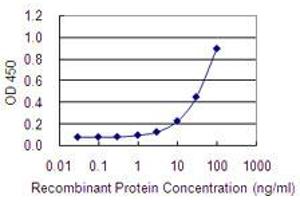 Detection limit for recombinant GST tagged LRRN2 is 1 ng/ml as a capture antibody. (LRRN2 antibody  (AA 532-630))