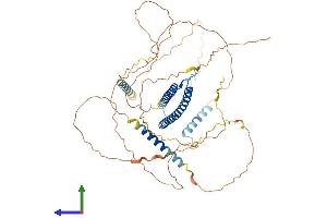 AlphaFold protein structure predicition of Human Recombinant TFE3 Protein, UniprotID P19532 (TFE3 Protein (AA 1-575) (His tag))