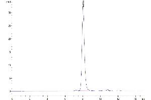 The purity of Human SIRP Beta 1 isoform 3 is greater than 95 % as determined by SEC-HPLC. (SIRPB1 Protein (AA 30-371, Isoform 3) (His-Avi Tag))