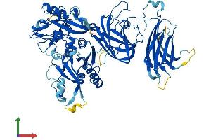 AlphaFold protein structure predicition of Human Recombinant CAPN5 Protein, UniprotID O15484