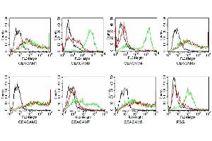 Specificity testing of TET2. (CEACAM 1,5,6,8 antibody)