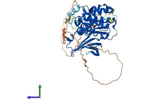 AlphaFold protein structure predicition of Human Recombinant MOK Protein, UniprotID Q9UQ07