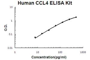 Human CCL4/MIP-1 beta Accusignal ELISA Kit Human CCL4/MIP-1 beta AccuSignal ELISA Kit standard curve. (CCL4 ELISA Kit)