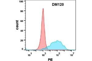 Flow cytometry analysis with Anti-CEACAM5 (DM120) on Expi293 cells transfected with human CEACAM5 (Blue histogram) or Expi293 transfected with irrelevant protein (Red histogram). (CEACAM5 antibody  (AA 35-685))