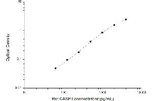 Typical standard curve (Caspase 1 ELISA Kit)