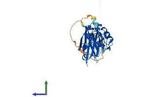AlphaFold protein structure predicition of Human Recombinant SIAH2 Protein, UniprotID O43255
