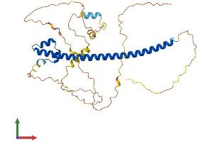 AlphaFold protein structure predicition of Mouse Recombinant Mafa Protein, UniprotID Q8CF90 (MAFA Protein (AA 1-359) (His tag))