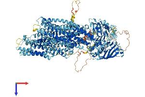 ABCC3 Protein (AA 1-1527) (His tag)