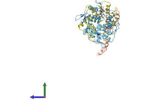 Protein Structure (PS) image for Zinc Finger Protein 732 (ZNF732) (AA 1-585) protein (His tag) (ABIN7545492)