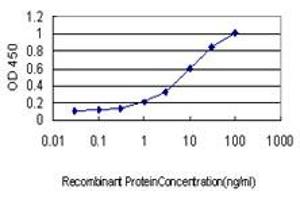 Detection limit for recombinant GST tagged PML is approximately 0. (PML antibody  (AA 411-510))
