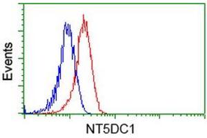 Image no. 3 for anti-5'-Nucleotidase Domain Containing 1 (NT5DC1) antibody (ABIN1499833) (NT5DC1 antibody)