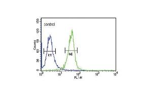 Flow Cytometry (FACS) image for anti-DnaJ (Hsp40) Homolog, Subfamily C, Member 6 (DNAJC6) (AA 254-281) antibody (ABIN653940)