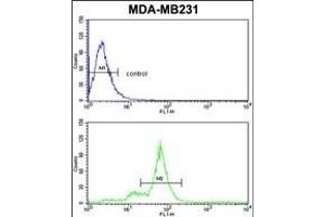 SC Antibody (C-term) (ABIN6243156 and ABIN6578976) flow cytometric analysis of MDA-M cells (bottom histogram) compared to a negative control cell (top histogram). (DIABLO antibody  (C-Term))