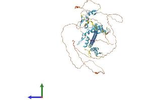 AlphaFold protein structure predicition of Human Recombinant ZNF384 Protein, UniprotID Q8TF68